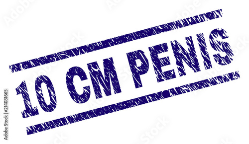 10 CM PENIS stamp seal watermark with scratced style. Blue vector rubber print of 10 CM PENIS caption with retro texture. Text caption is placed between parallel lines.
