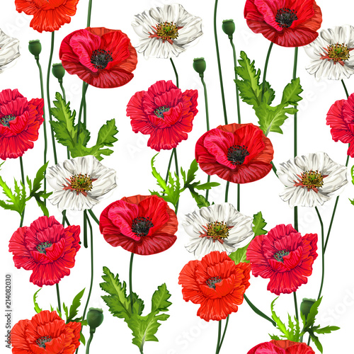Poppy flowers  seamless on white background vector illustration