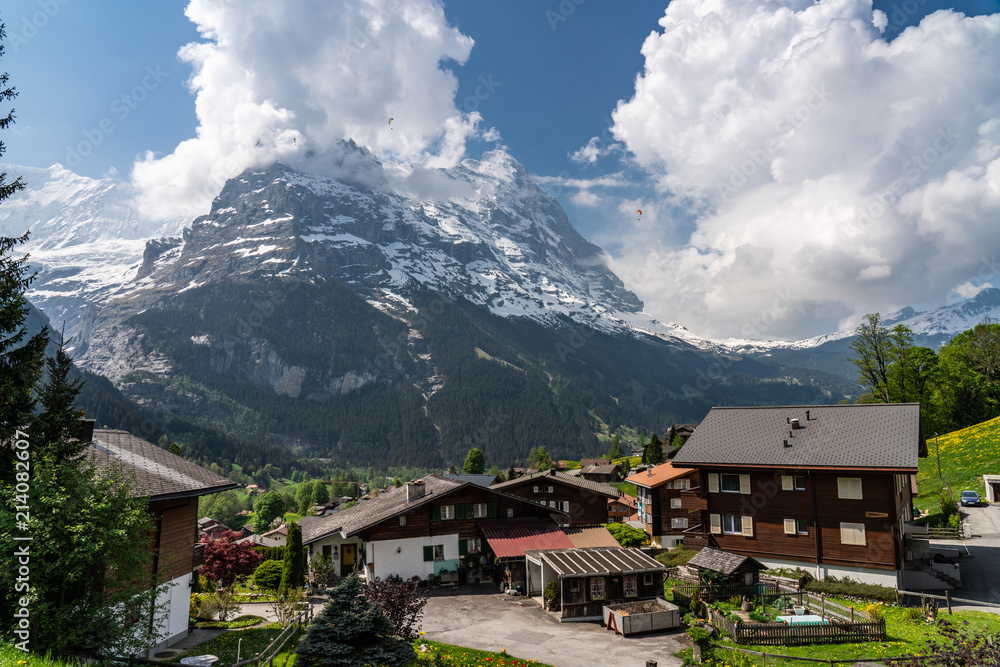 Switzerland, panoramic view from First to Eiger Switzerland, panoramic view from First to Eiger