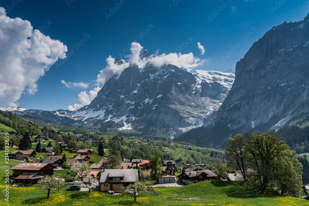 Switzerland, view from First to Wetterhorn Switzerland, view from First to Wetterhorn