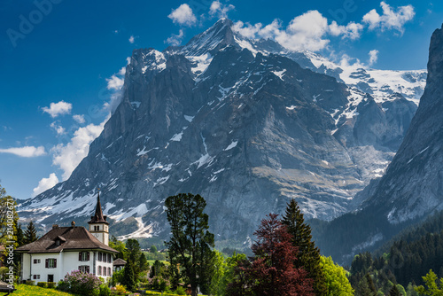 Switzerland, view from First to Wetterhorn photo