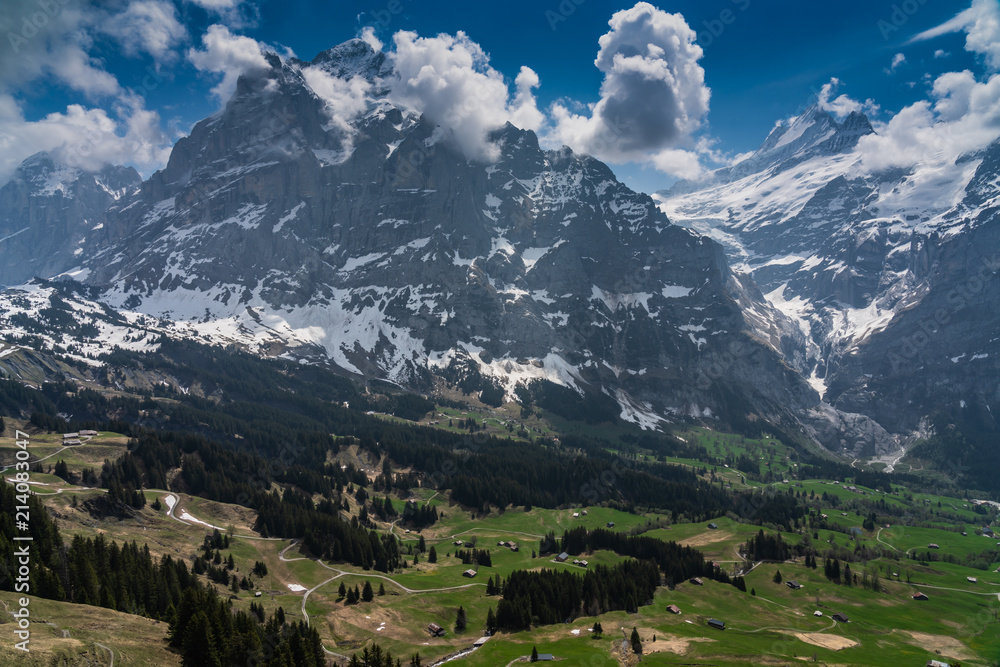 Switzerland, view from First to Wetterhorn