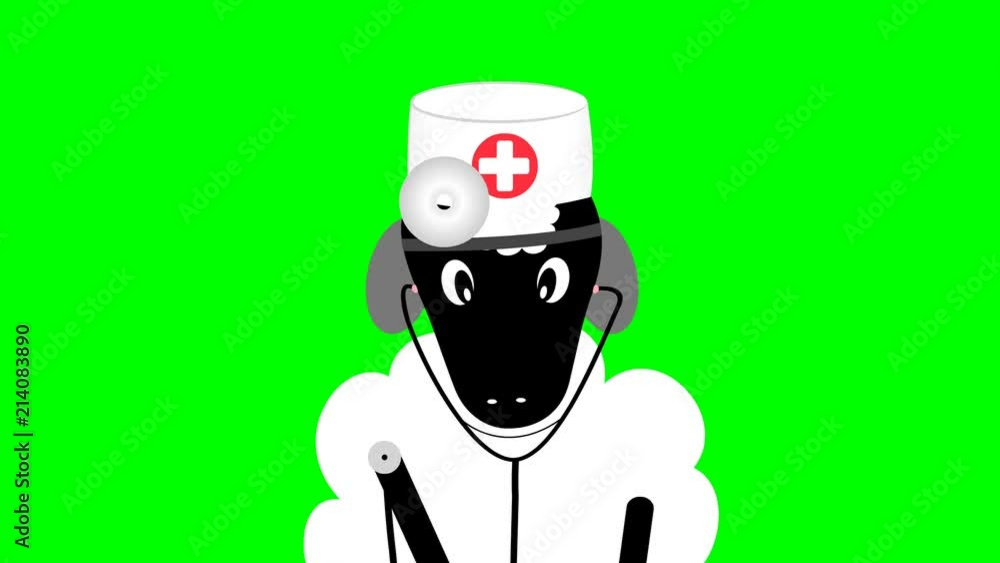Sheep in a doctor uniform making medical examination and treatment cartoon animation on chroma key green screen background. Sheep in a doctor uniform making medical examination and treatment cartoon animation on chroma key green screen background.