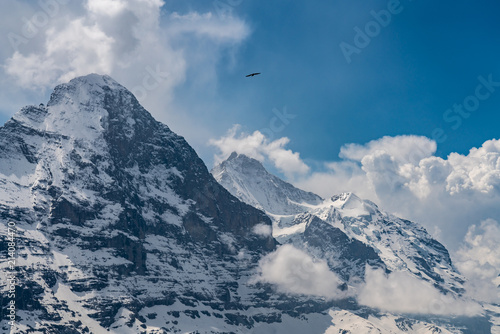 Switzerland, panoramic view from First to Eiger