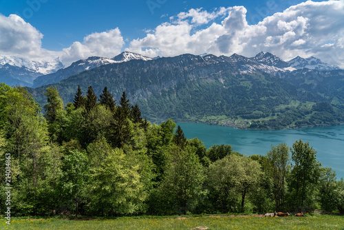 Switzerland, Thunersee and Niesen panorama view