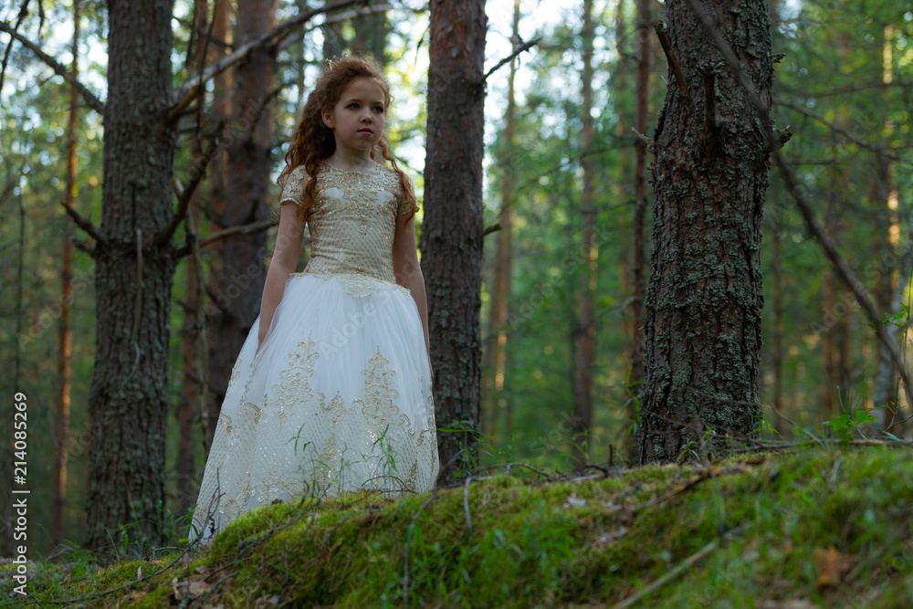 Little girl walks in a summer forest in a dress
