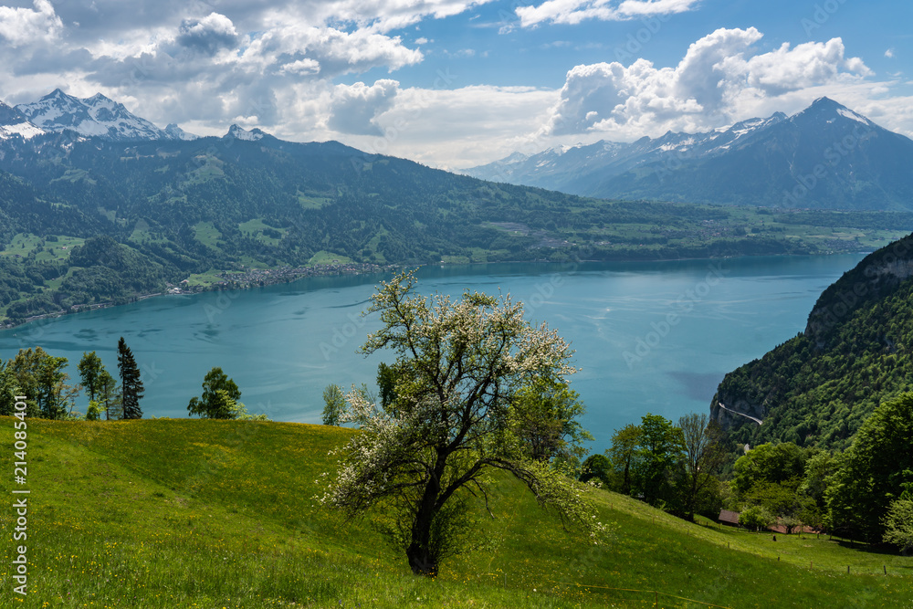 Switzerland, Thunersee and Niesen panorama view