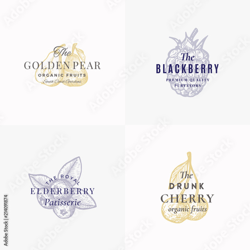Premium Fruits and Berries Abstract Vector Signs, Symbols or Logo Templates Set. Elegant Hand Drawn Apple, Pear, Blackberry, Elderberry and Cherry Sketches with Retro Typography. Vintage Emblems.