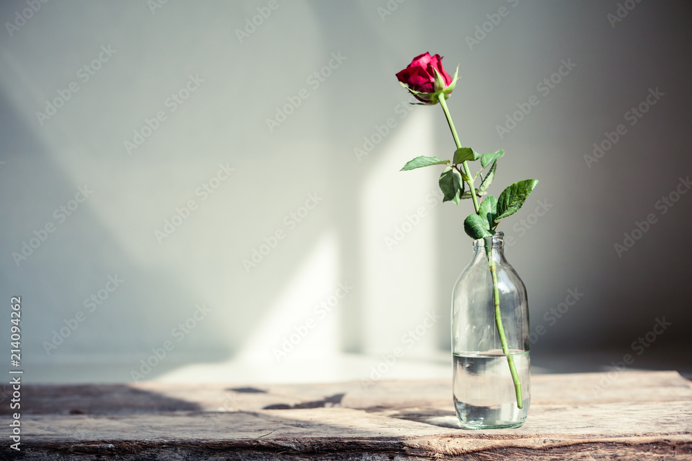Rose in a Bottle