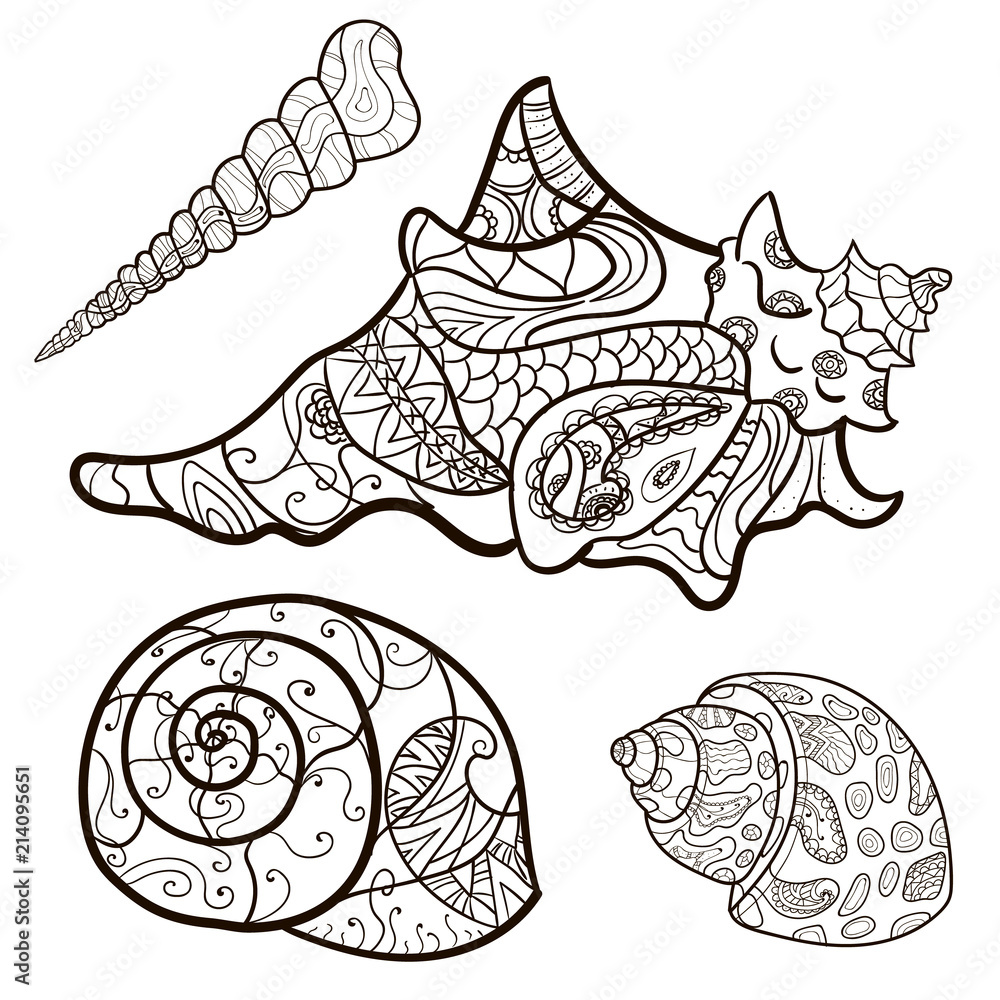 seashells, shell pattern, shell set, coloring book, page. Vector