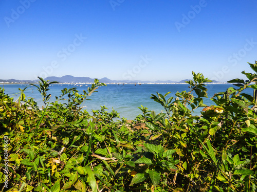Atlantic forest and a view of Ponta das Canas beach in Florianopolis, Brazil