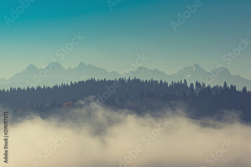 Fototapeta Naklejka Na Ścianę i Meble -  Tatra mountains in dense fog