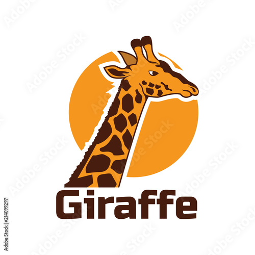 Photography giraffe logo, vector illustration