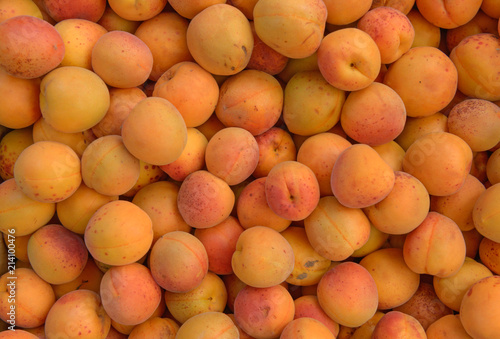 Thick  layer of many apricot fruits as natural background.