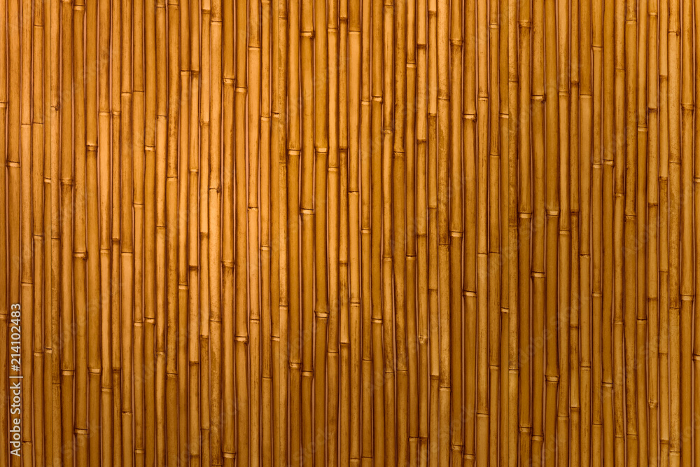 Bamboo wall. Bamboo wall.