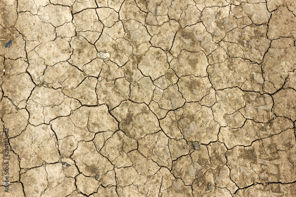 Withered grayish brown ground texture Withered grayish brown ground texture
