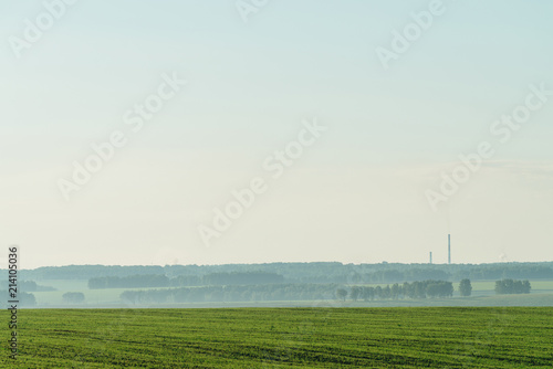 Misty fragment of plowed field in springtime. Rich green background of field with furrows from plough under blue sky with copy space. Tree in haze and industrial pipes with smog on horizon. © Daniil