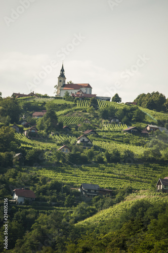 Slovenia  uno dei tipici villaggi sloveni con la chiesa parrocchiale sulla cima di una collina  i prati verdi prati e i terreni coltivati in campagna