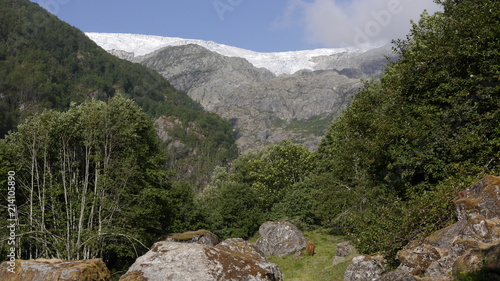 Buarbreen Gletscher, Folgefonna Gletschergebiet, Norwegen photo