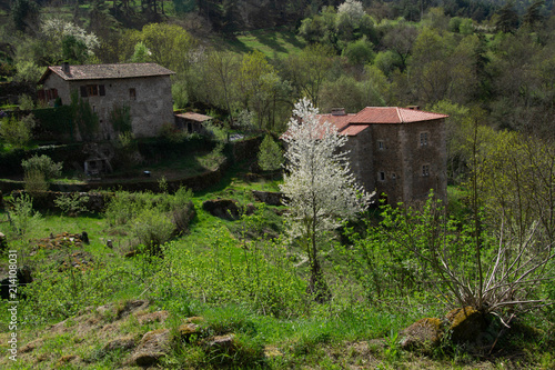 chalancon,haute loire,france photo