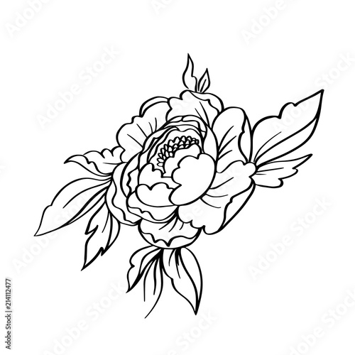 Vector black white contour simple sketch of peony flower.