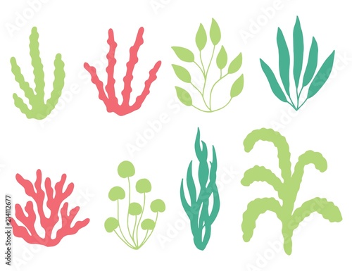 colored corals and seaweed vector silhouette. isolated on white background
