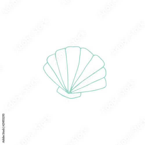 Vector hand drawn sea shell
