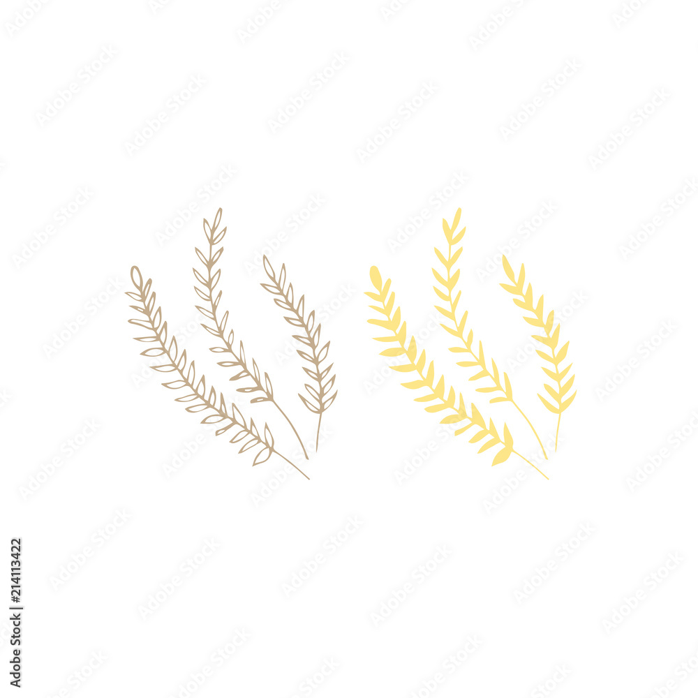 Vector hand drawn seaweeds Vector hand drawn seaweeds