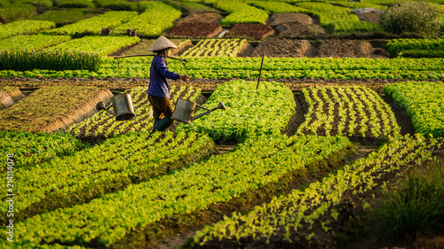 Vietnam Farming