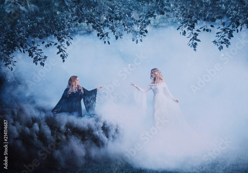 Two women yin yang in the fog. The Dark Magician meets a bright sorceress. Powerful witches conjure in the forest. Black and white smoke. Girls in the clouds. Artistic photography.