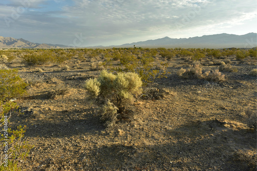 Mojave Desert valley mountain range landscape Pahrump, Nevada,USA photo