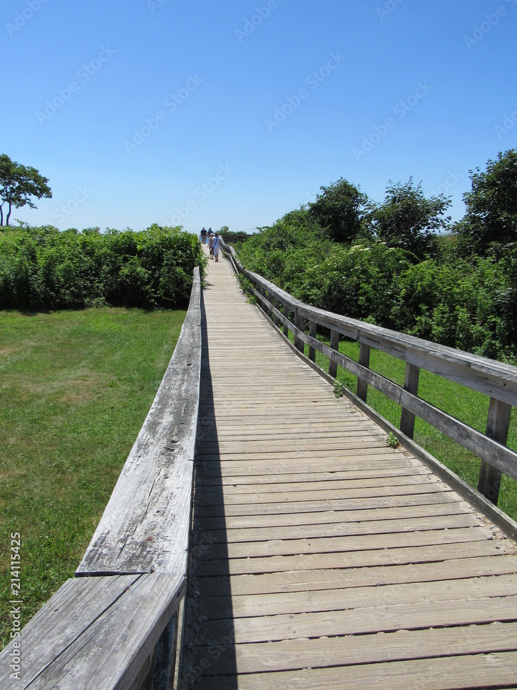 A wooden walkway leading to the ocean 
