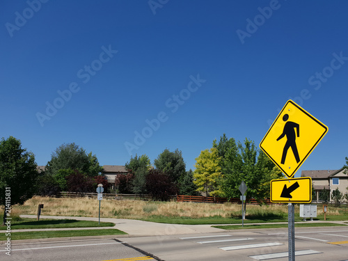 Bright Blue Crossing