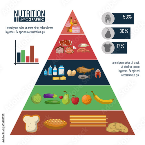 Nutrition and food pyramid infographic with statistics and elements