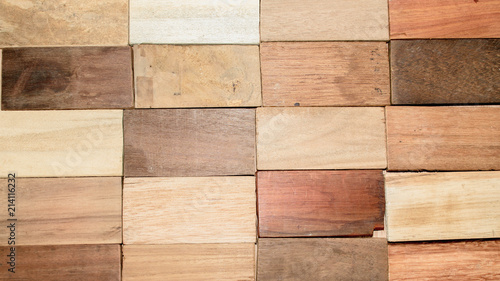 wood specimen from different tropical hardwood that grow in Indonesia. seamless wood parquet texture. natural background