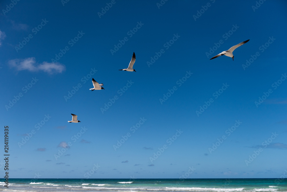Fototapeta premium Cuba