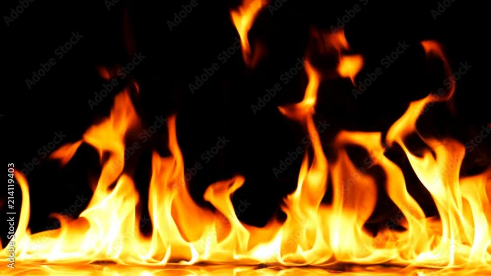 Fire Flames Igniting And Burning - Slow Motion. A line of real flames ignite on a black background. Real fire. Transparent background. PNG + Alpha Fire Flames Igniting And Burning - Slow Motion. A line of real flames ignite on a black background. Real fire. Transparent background. PNG + Alpha