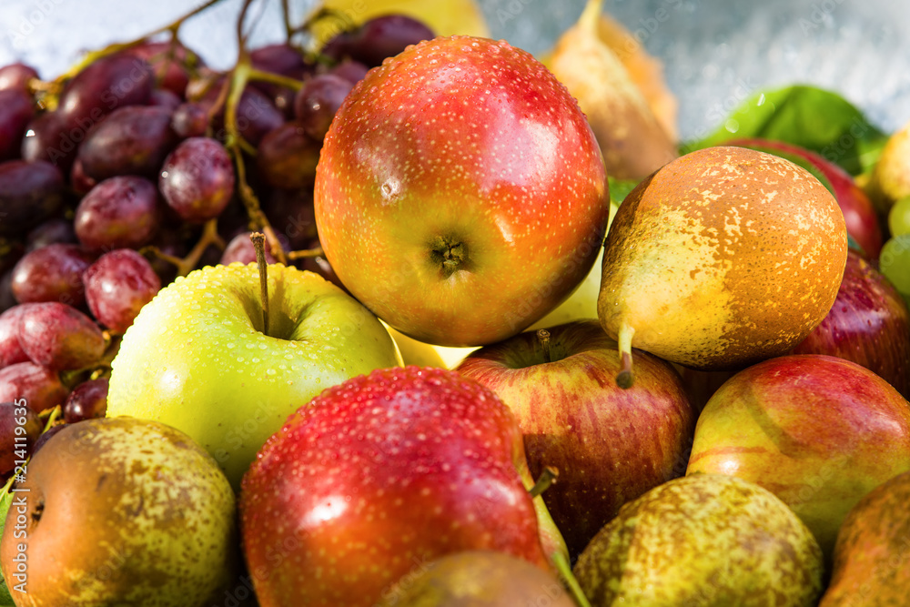 Fruit in a bowl - apples, pears and grapes Fruit in a bowl - apples, pears and grapes
