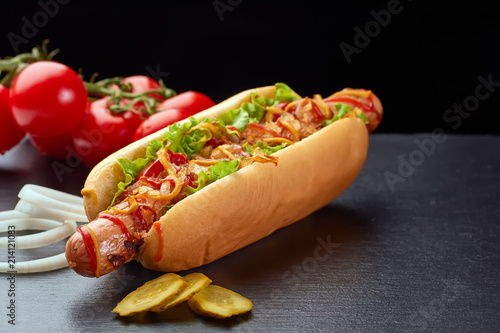 Hot dog vith vegetables on dark slate background
