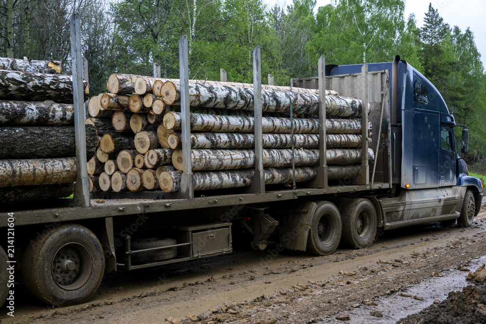 Tip truck transportation of sawn timber. The truck transports logs, on