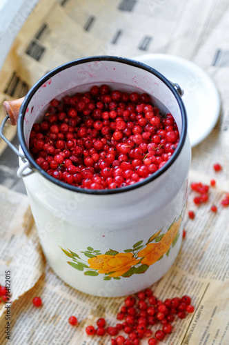 harvest of red currant in an iron can on the background of an old newspaper