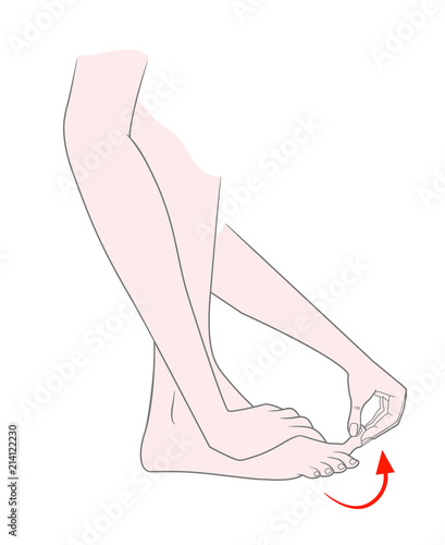 The lower half of the woman's body in an exercise pose for the development of flexibility of the toes. Vector. Isolated on white background