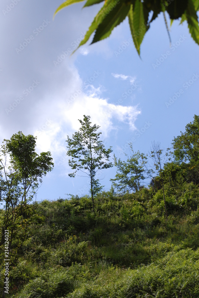Fototapeta premium Paesaggio montano, Campania, Italia.