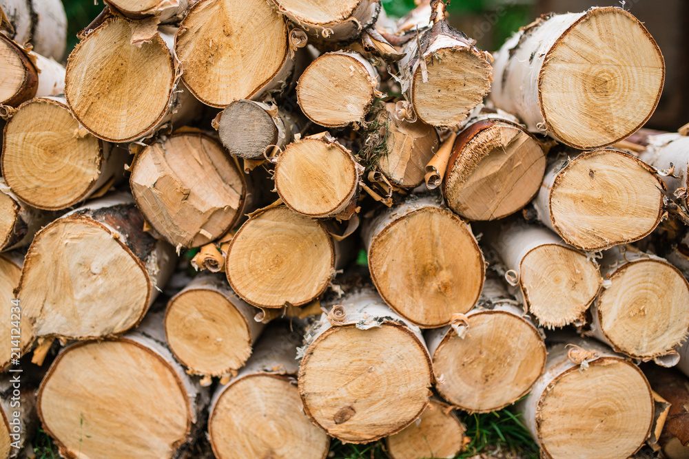 birch logs. Firewood.. gasoline chain saw. firewood for firebox. Cut the birch with a saw. Dust and movement. concept of work birch logs. Firewood.. gasoline chain saw. firewood for firebox. Cut the birch with a saw. Dust and movement. concept of work