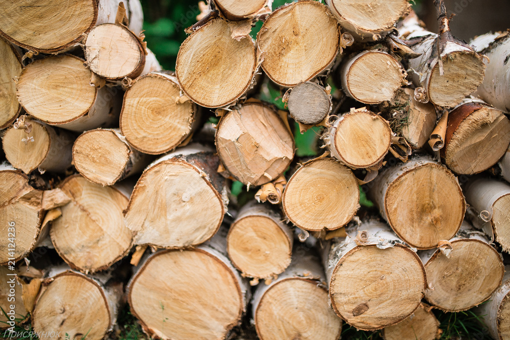 gasoline chain saw. firewood for firebox. Cut the birch with a saw. Dust and movement. concept of work gasoline chain saw. firewood for firebox. Cut the birch with a saw. Dust and movement. concept of work