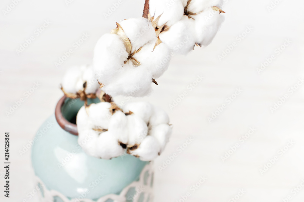 Cotton branch in a turquoise vase on white background. Delicate white cotton flowers. Light cotton background, flat lay.