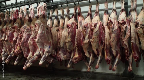 Krasnodar, Russia - 01.25.2018: Butchers unload the carcasses of cows in the warehouse. Pork carcasses hang on metal hooks.