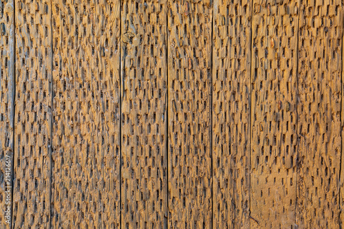Background. The texture of the old wooden slats. Trillo, old farm implement.