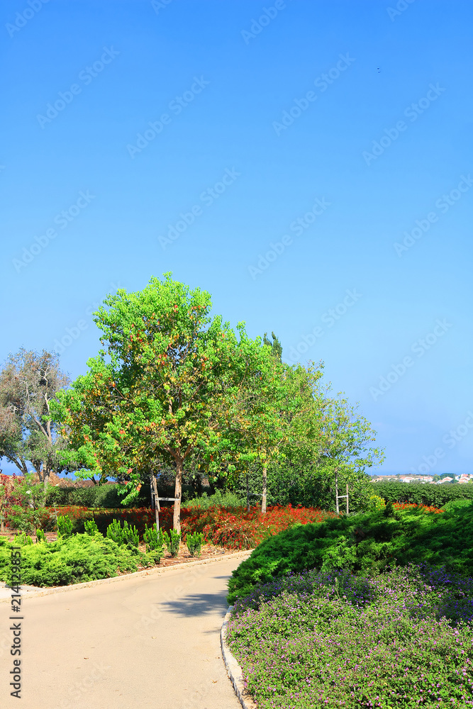 Park Ramat Hanadiv, Memorial Gardens of Baron Edmond de Rothschild, Zichron Yaakov, Israel