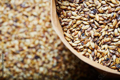 Slika na platnu Barley malt - Castel Malting of the type,  used for the production of craft and home beer